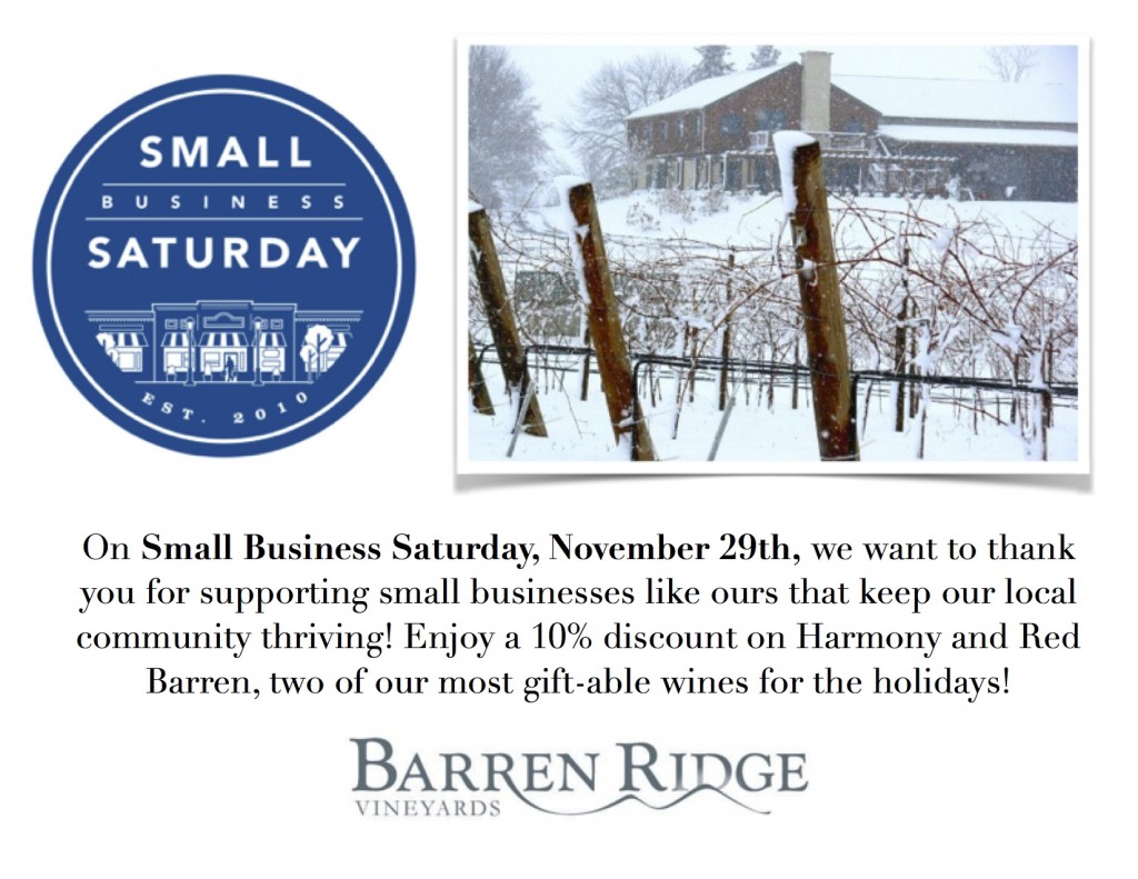 2014 Small Business Saturday flyer